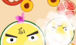 吃瓜破解官网,带你走进神秘的网络世界